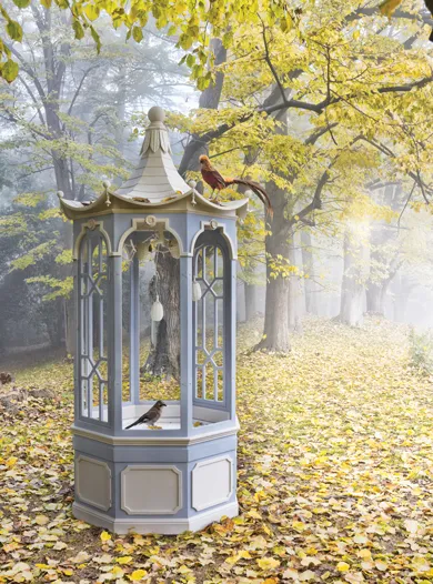 Bird Aviary by Maurizio-Betti-1